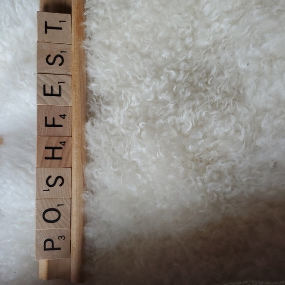 NASHVILLE tote  Robin Ruth tan blue green  w/ Zipper Souvenir Scrabble Poshfest - Picture 2 of 8